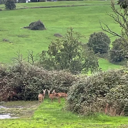 10 Mins From Holiday home *